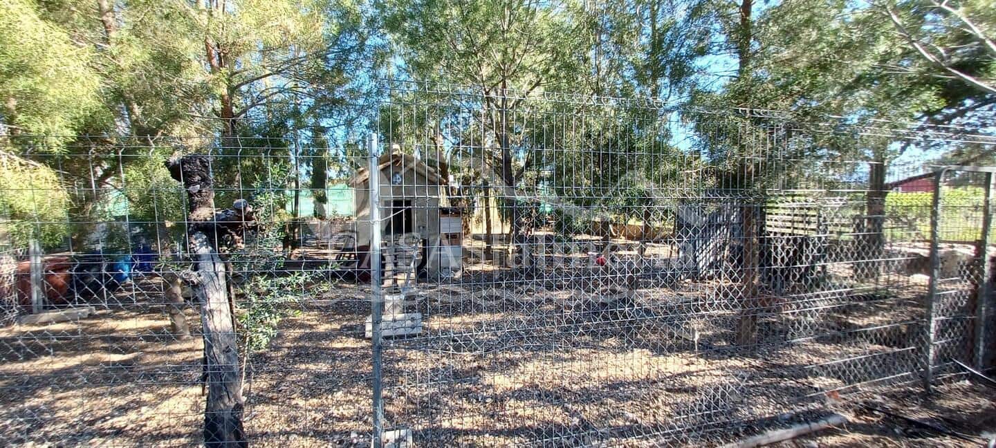 3 camera da letto Finca/Casa di Campagna in vendita in Huercal-Overa - 157.000 € (Rif: 2226068)