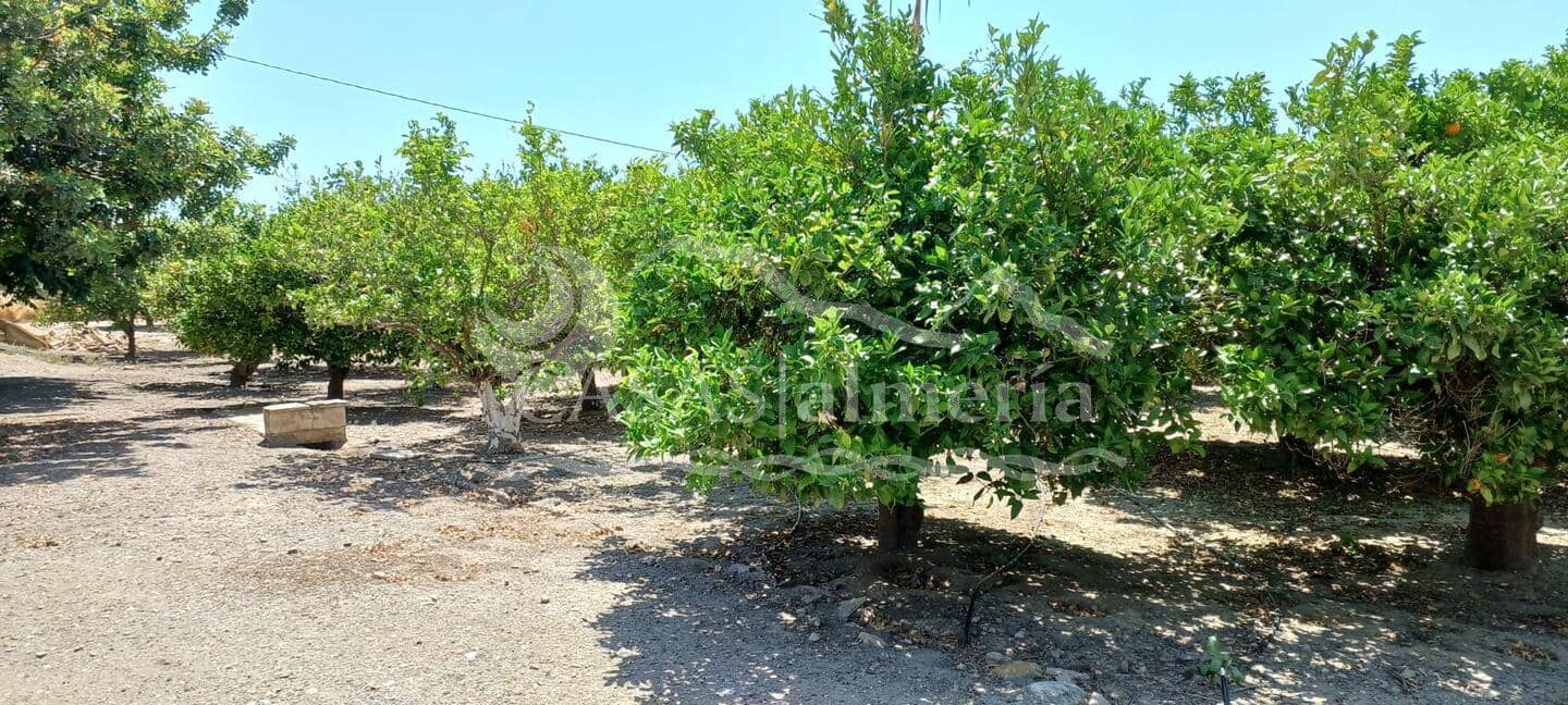 Finca/Casa di Campagna in vendita in Huercal-Overa - 270.000 € (Rif: 2281660)