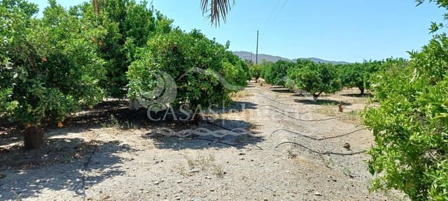 Finca/Casa di Campagna in vendita in Huércal-Overa - 270.000 € (Rif: 2281660)