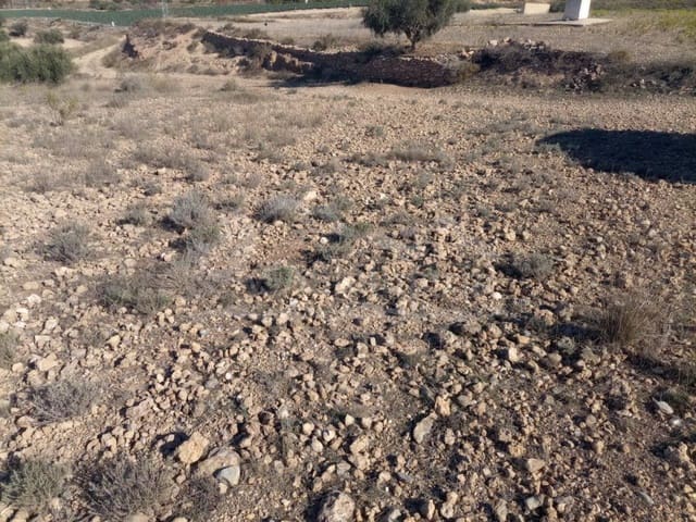 Ubebygd land til salgs i Huércal-Overa - € 33 000 (Ref: 2954232)