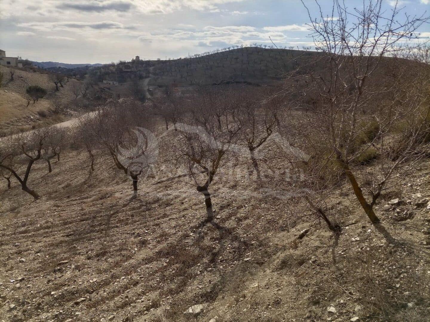 3 sovrum Finca/Hus på landet till salu i Velez-Rubio - 57 000 € (Ref: 2994710)