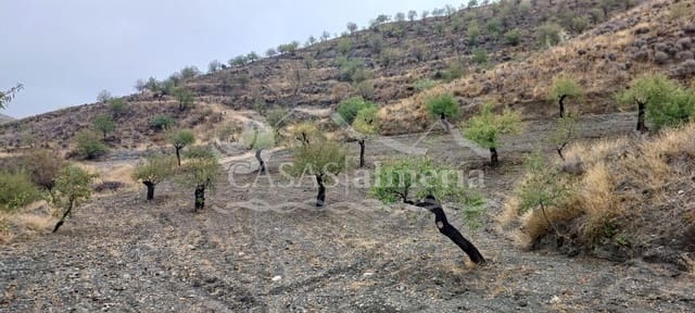 Undeveloped Land for sale in Los Pardos, Taberno - € 12,000 (Ref: 3121605)