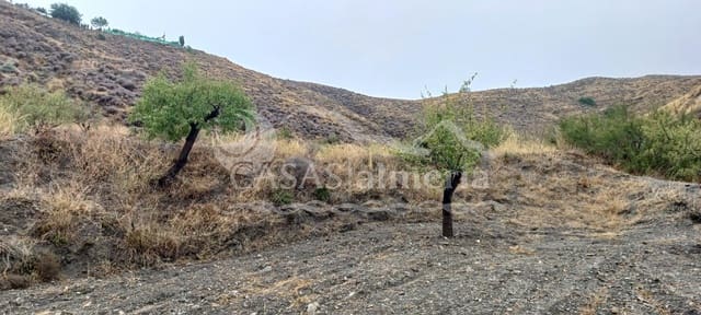 Undeveloped Land for sale in Los Pardos, Taberno - € 12,000 (Ref: 3121605)