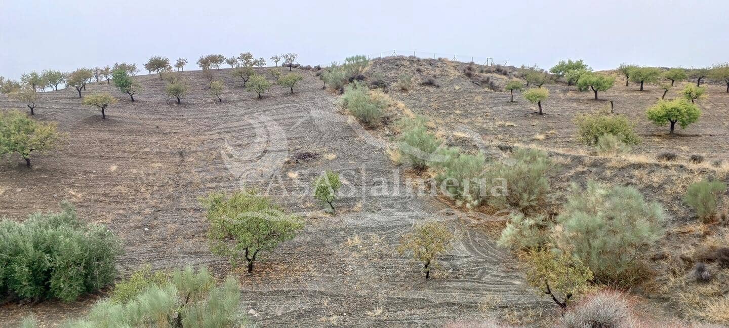 Grond te koop in Los Pardos - € 15.000 (Ref: 3121651)