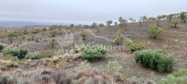 Undeveloped Land for sale in Los Pardos, Taberno - € 15,000 (Ref: 3121651)