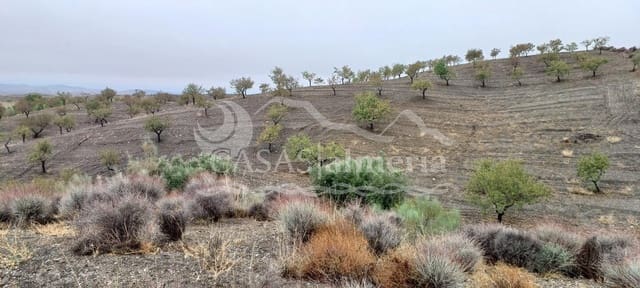 Undeveloped Land for sale in Los Pardos, Taberno - € 15,000 (Ref: 3121651)