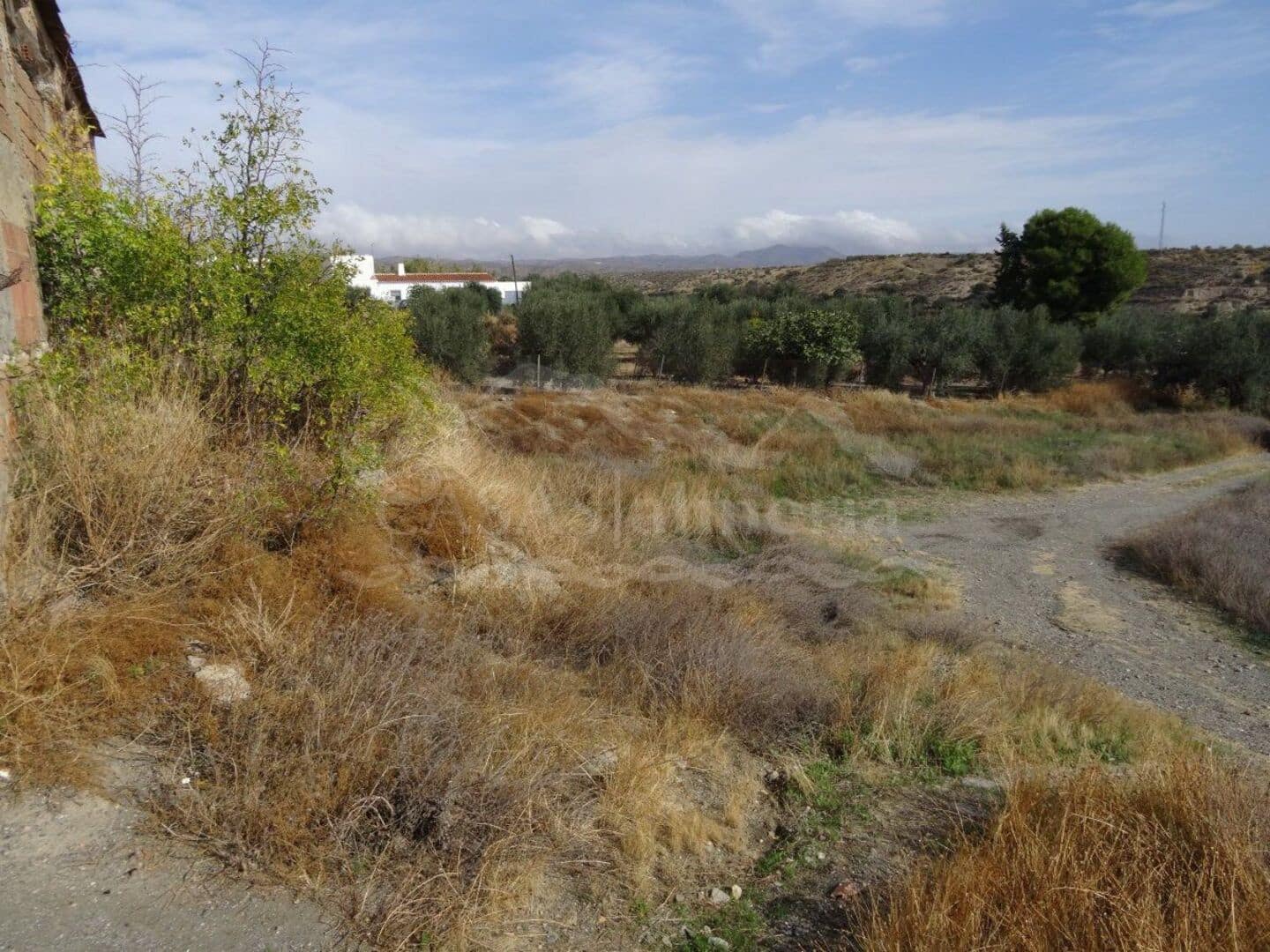 Erhverv til salg i Santa Maria de Nieva med garage - € 49.950 (Ref: 3121661)