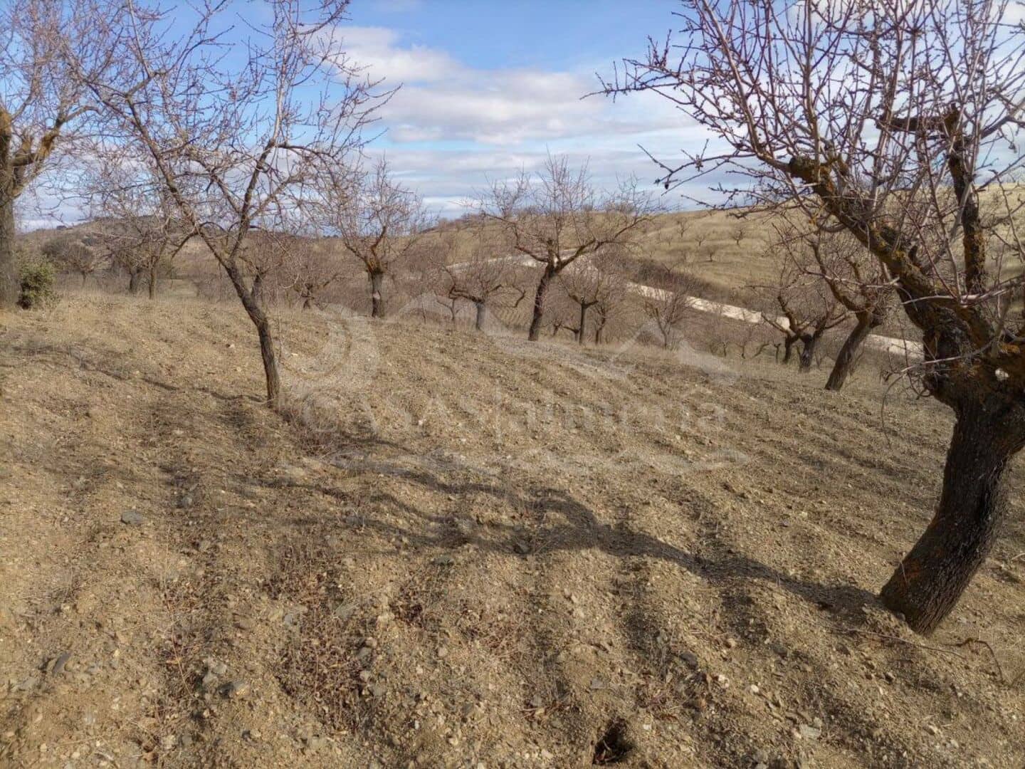 3 sovrum Finca/Hus på landet till salu i Velez-Rubio - 78 000 € (Ref: 3194564)