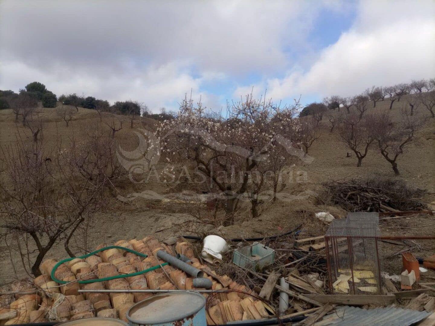 3 sovrum Finca/Hus på landet till salu i Velez-Rubio - 78 000 € (Ref: 3194564)