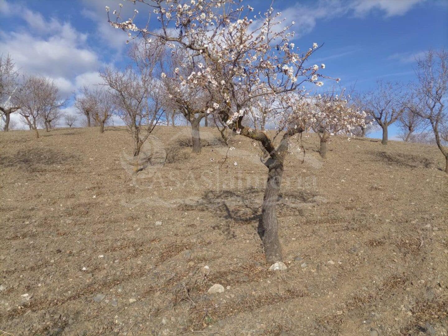 3 sovrum Finca/Hus på landet till salu i Velez-Rubio - 78 000 € (Ref: 3194564)