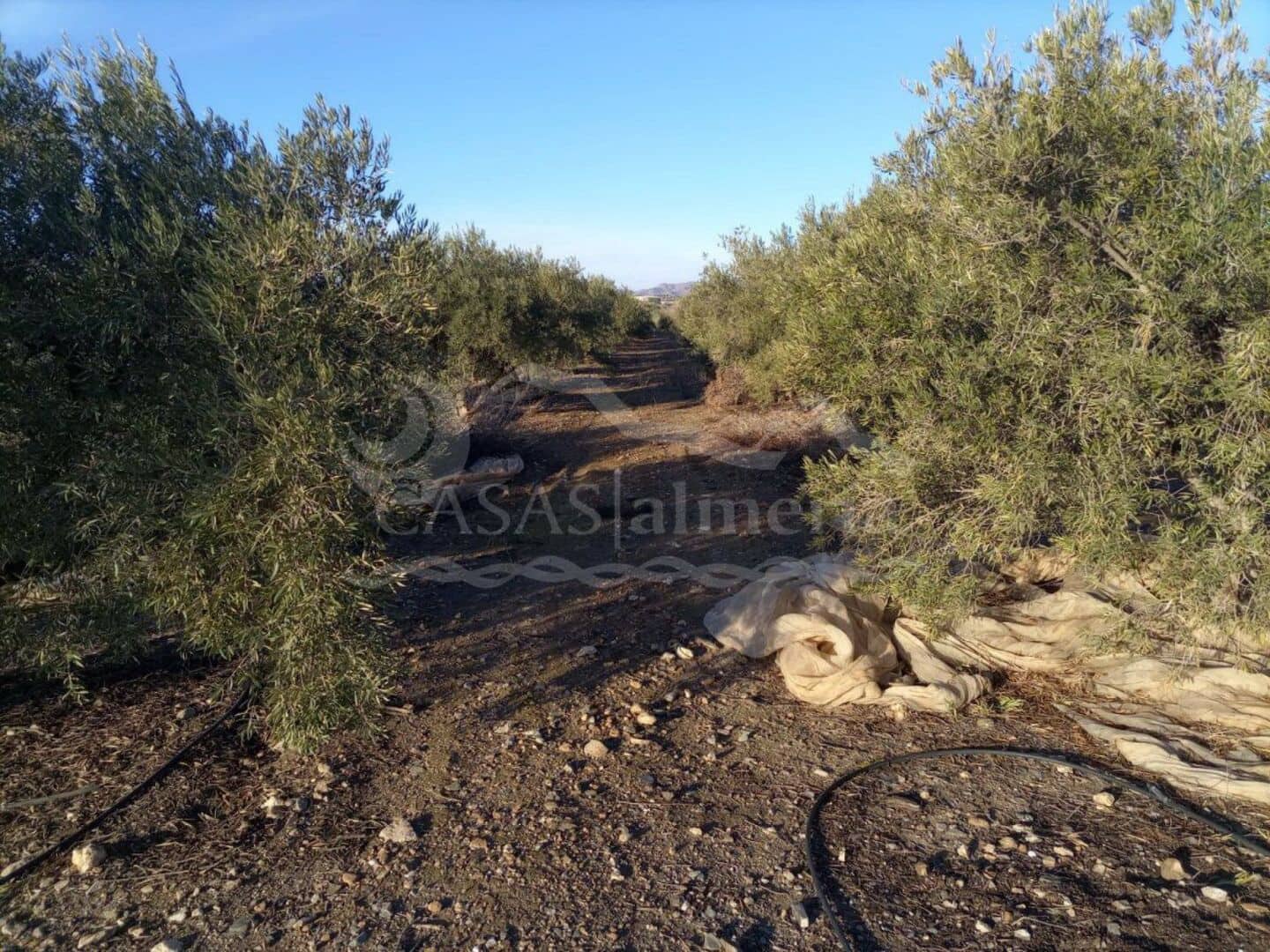 Grunde uden byggetilladelser til salg i Huercal-Overa - € 76.000 (Ref: 5132780)
