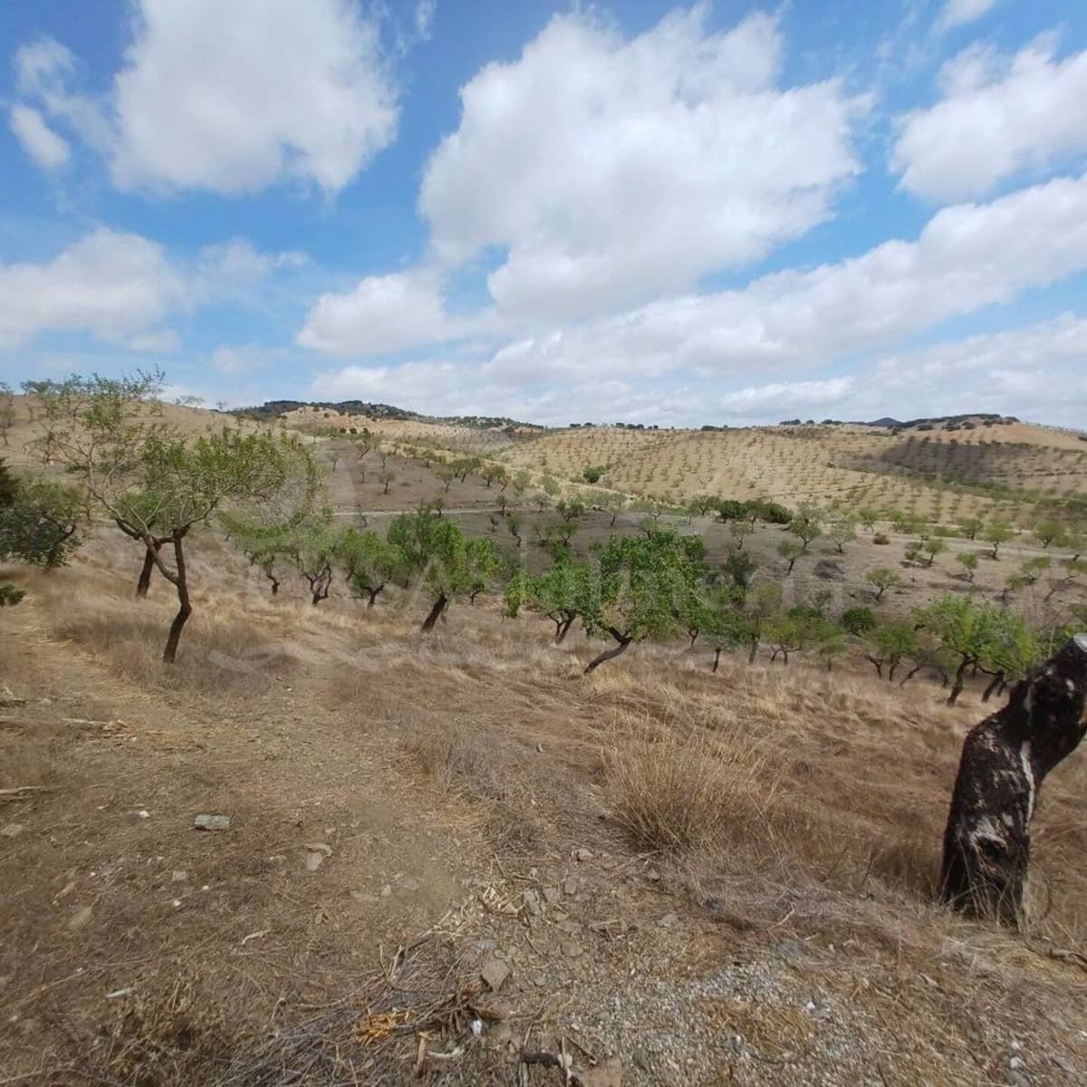 8 sovrum Finca/Hus på landet till salu i Velez-Rubio - 250 000 € (Ref: 6409297)