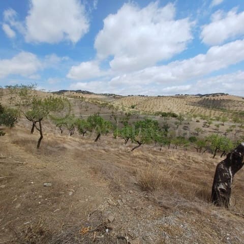 8 sypialnia Finka/Dom wiejski na sprzedaż w Vélez-Rubio - 250 000 € (Ref: 6409297)