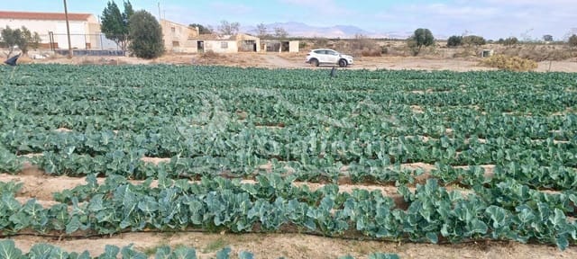 Finca/Herregård til salgs i Huércal-Overa - € 50 000 (Ref: 6409302)