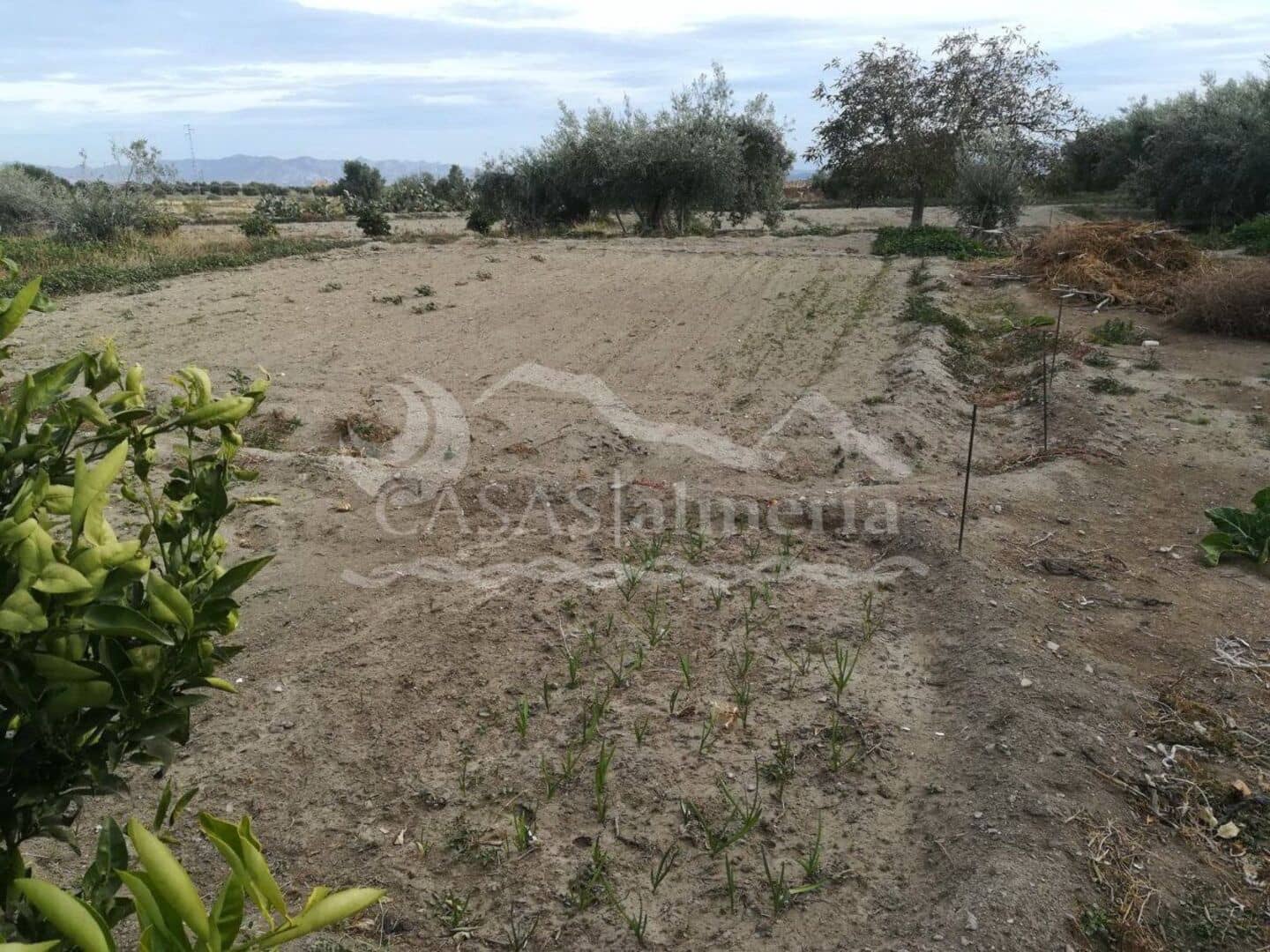 1 soveværelse Finca/Landehus til salg i Taberno - € 54.000 (Ref: 7141148)