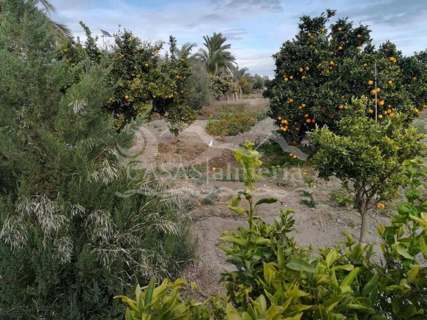 1 soveværelse Finca/Landehus til salg i Taberno - € 54.000 (Ref: 7141148)