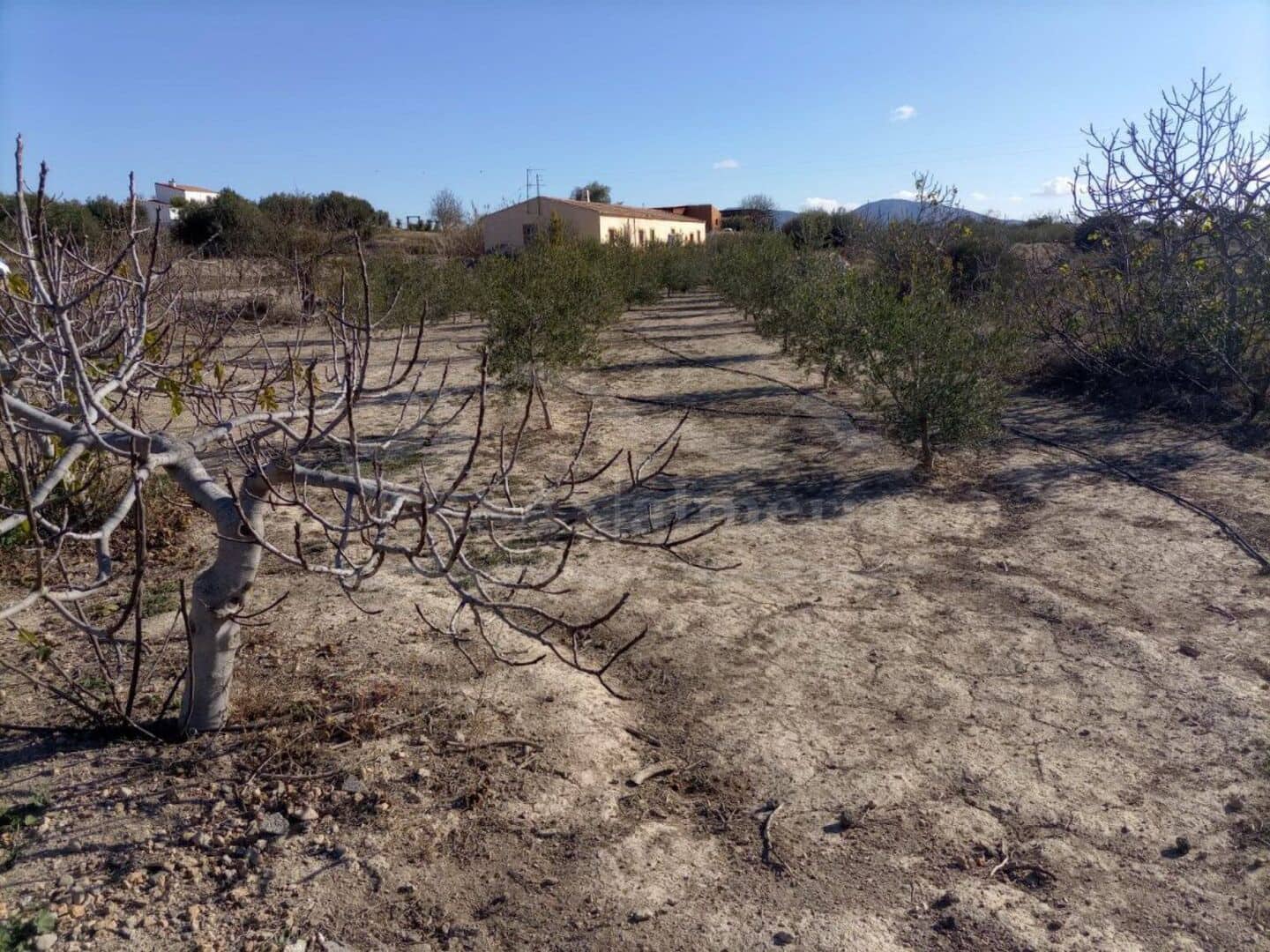 4 soveværelse Finca/Landehus til salg i Huercal-Overa - € 156.000 (Ref: 7397266)