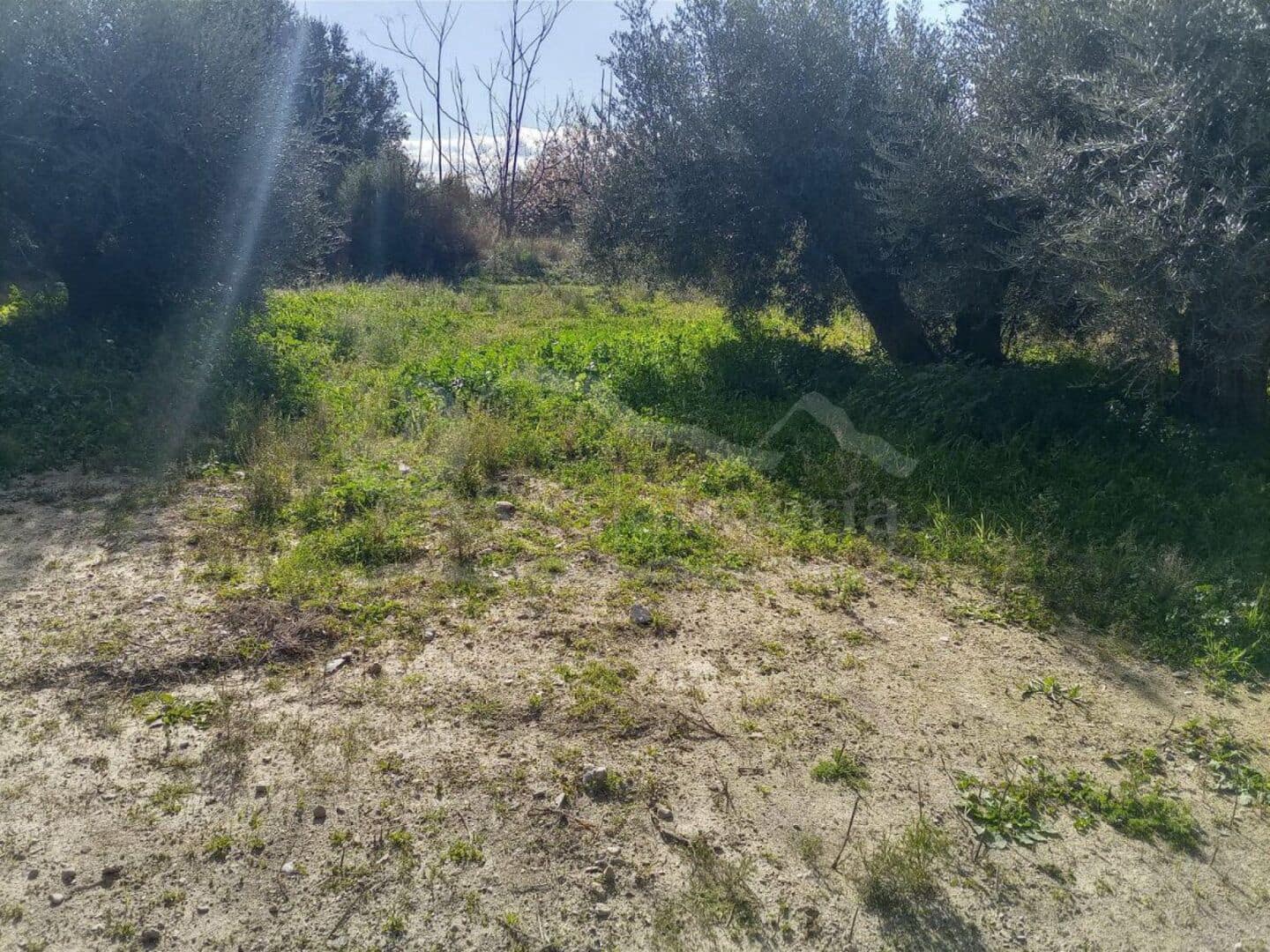 Terre non Aménagée à vendre à Huercal-Overa - 11 000 € (Ref: 7407797)