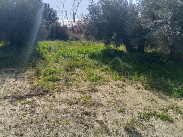 Terre non Aménagée à vendre à Huércal-Overa - 11 000 € (Ref: 7407797)