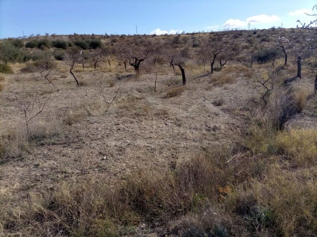 Undeveloped Land for sale in Santa Maria de Nieva, Huércal-Overa - € 28,000 (Ref: 7407798)