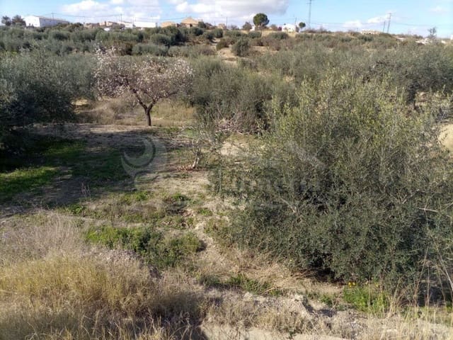 Undeveloped Land for sale in Santa Maria de Nieva, Huércal-Overa - € 28,000 (Ref: 7407798)