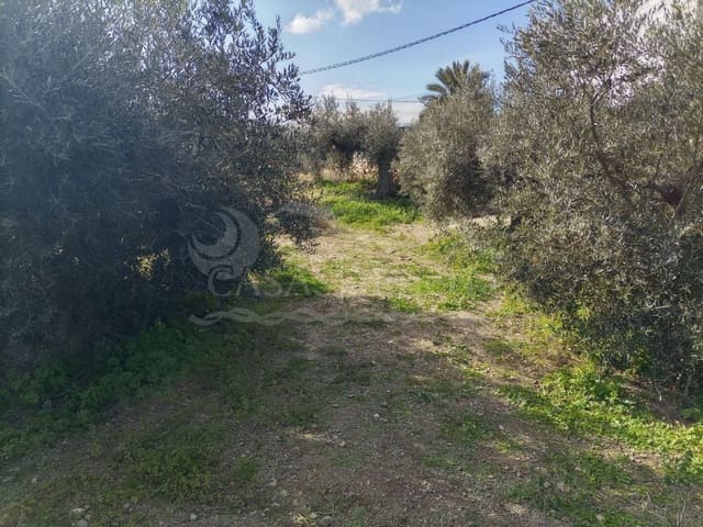Undeveloped Land for sale in Santa Maria de Nieva, Huércal-Overa - € 28,000 (Ref: 7407798)