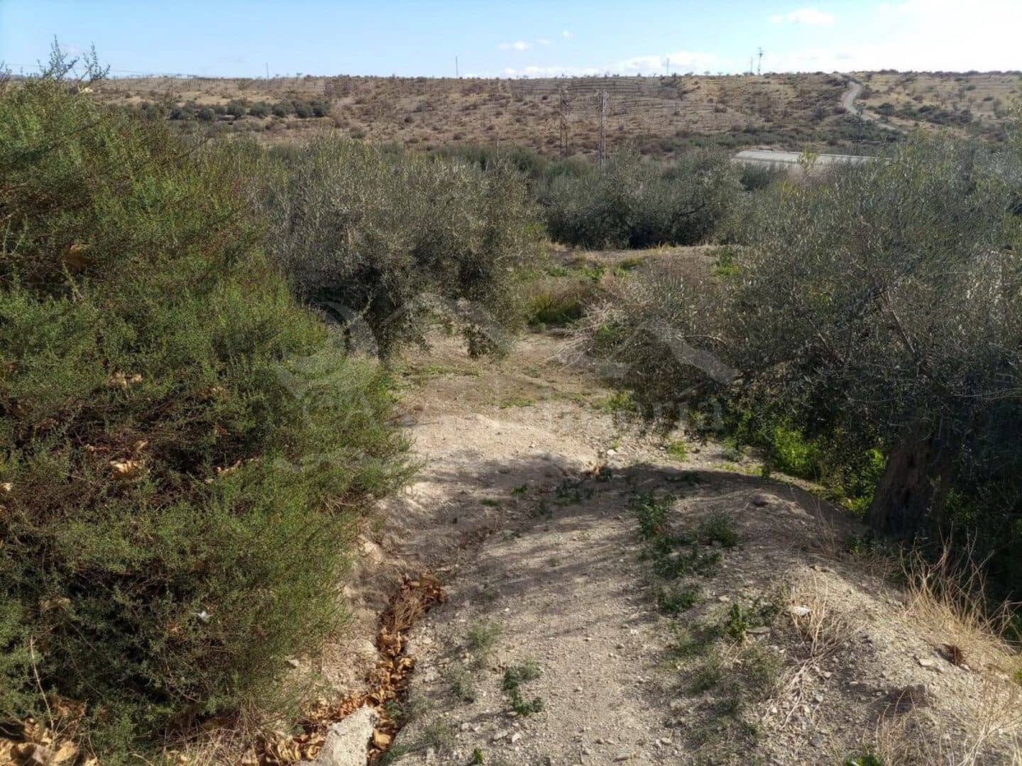 Ubebygd land til salgs i Santa Maria de Nieva - € 28 000 (Ref: 7407798)