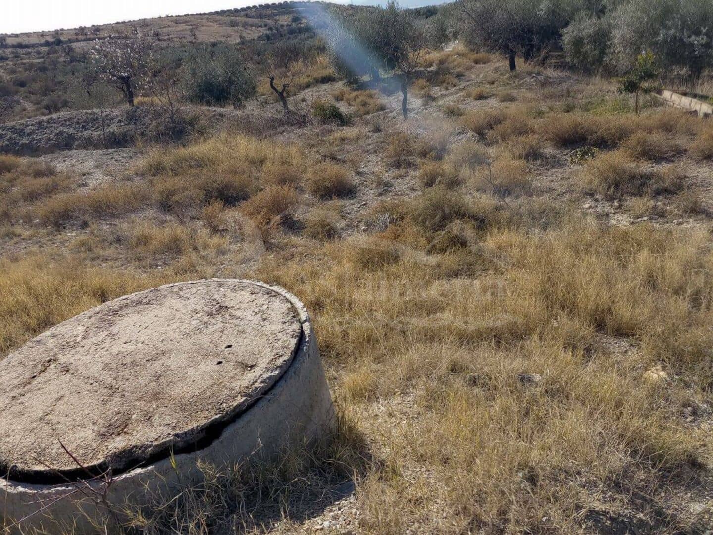 Ubebygd land til salgs i Santa Maria de Nieva - € 28 000 (Ref: 7407798)