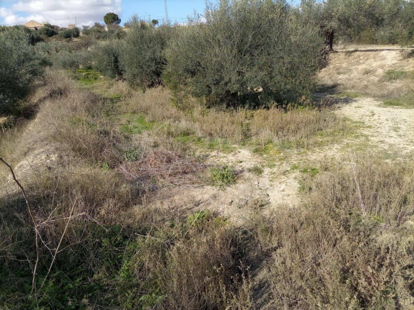 Ubebygd land til salgs i Santa Maria de Nieva - € 28 000 (Ref: 7407798)