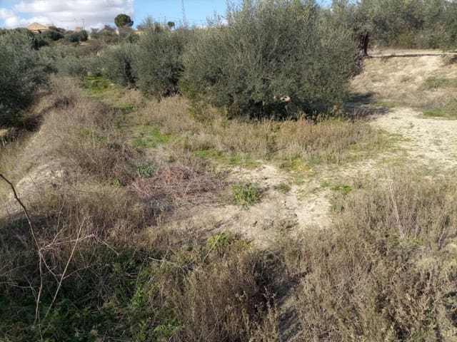Undeveloped Land for sale in Santa Maria de Nieva, Huércal-Overa - € 28,000 (Ref: 7407798)