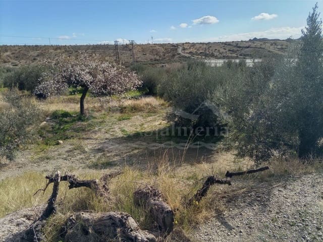 Undeveloped Land for sale in Santa Maria de Nieva, Huércal-Overa - € 28,000 (Ref: 7407798)