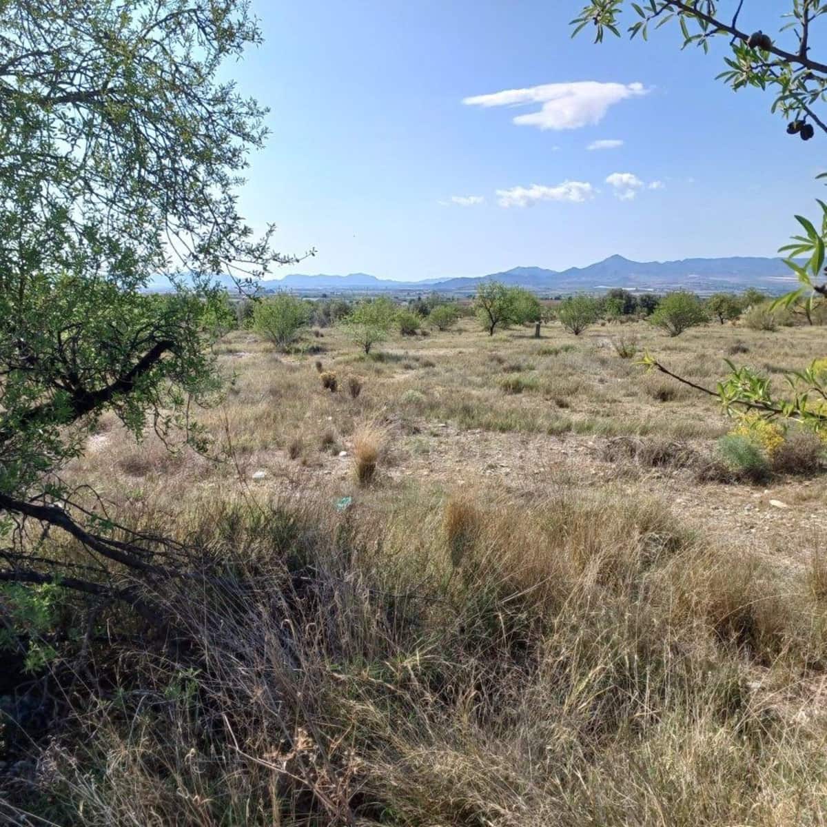 Terre non Aménagée à vendre à Las Labores - 19 000 € (Ref: 7601694)