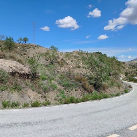 Undeveloped Land for sale in Taberno - € 5,000 (Ref: 7639263)