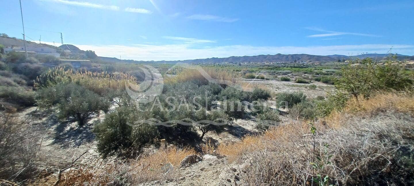 Erhverv til salg i Arboleas - € 45.000 (Ref: 8226896)