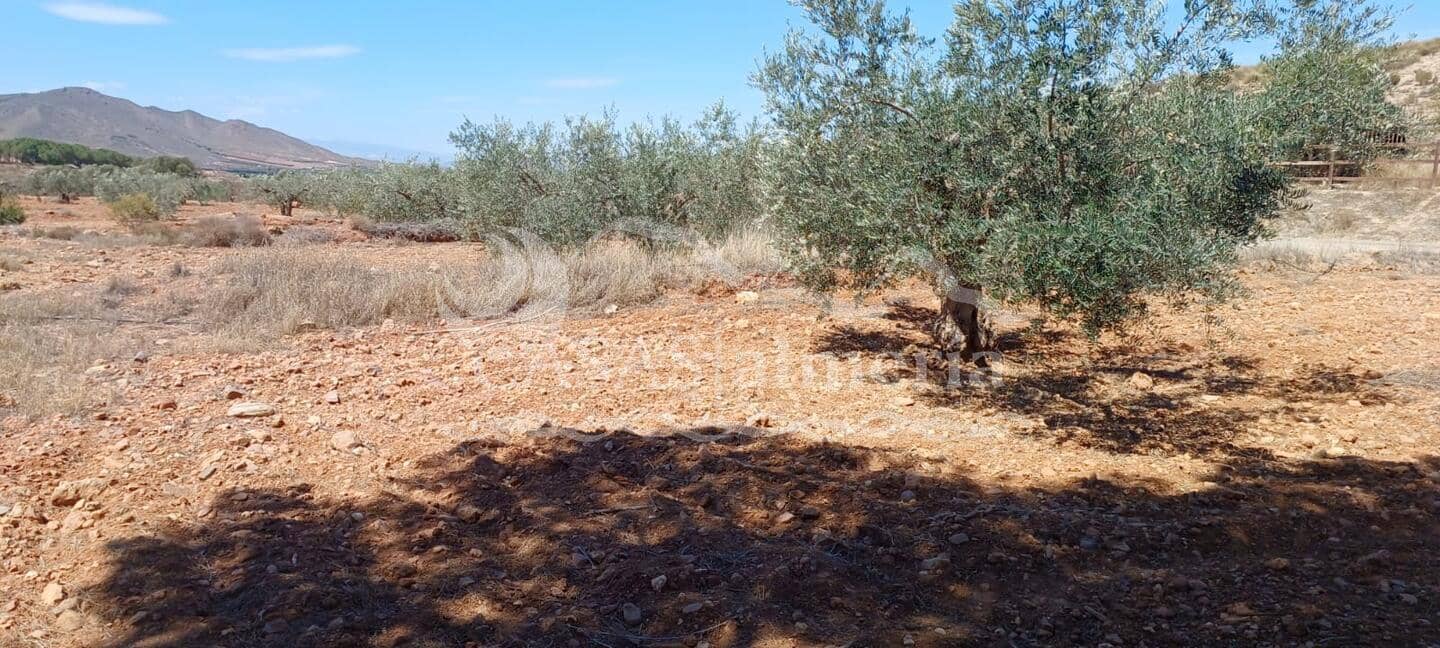 Grunde uden byggetilladelser til salg i Huercal-Overa - € 33.000 (Ref: 8267342)