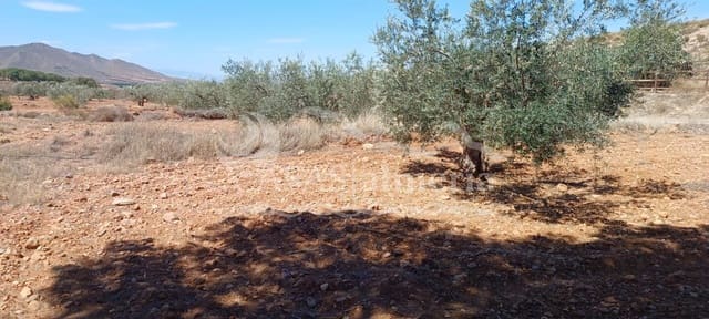 Grunde uden byggetilladelser til salg i Huércal-Overa - € 33.000 (Ref: 8267342)