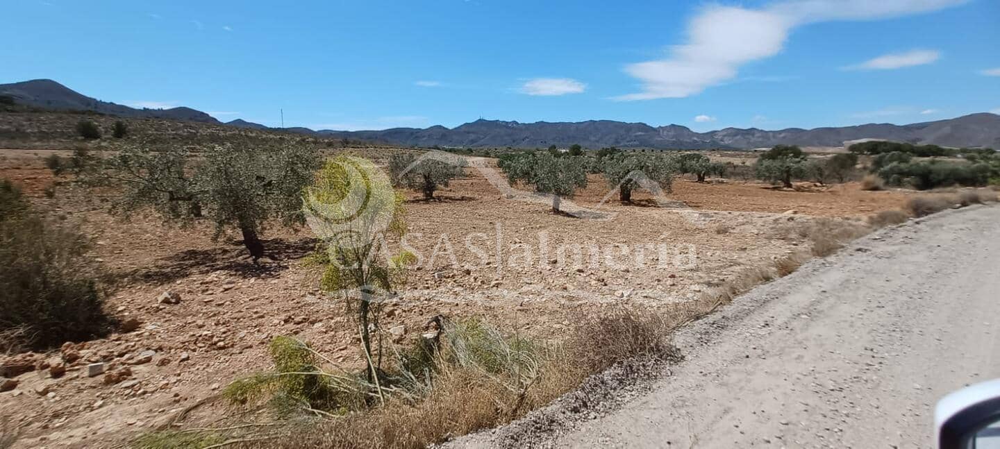 Kommersiell til salgs i Huercal-Overa - € 30 000 (Ref: 8267343)