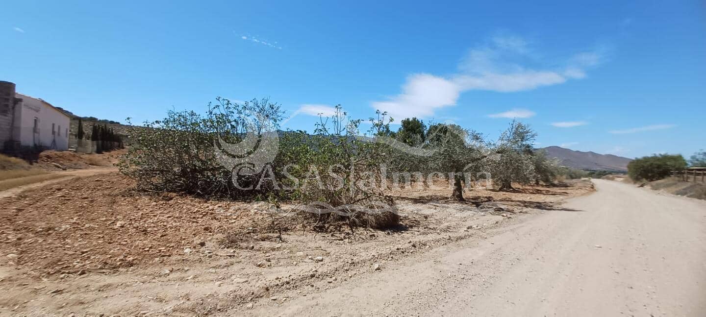 Kommersiell til salgs i Huercal-Overa - € 30 000 (Ref: 8267343)