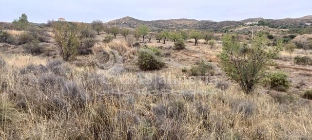 Ubebygd land til salgs i Urcal, Huércal-Overa - € 7 000 (Ref: 9360503)