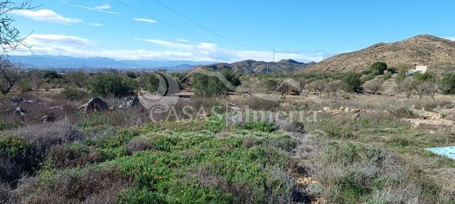 Undeveloped Land for sale in Urcal, Huércal-Overa - € 74,000 (Ref: 9609559)
