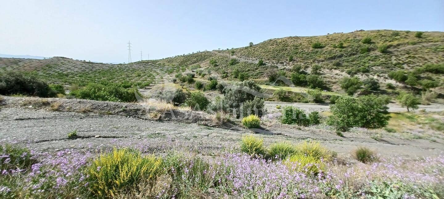 3 quarto Quinta/Casa Rural para venda em El Puertecico - 180 000 € (Ref: 9809417)