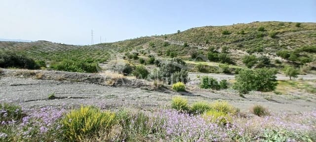 3 quarto Quinta/Casa Rural para venda em El Puertecico, Huércal-Overa - 180 000 € (Ref: 9809417)