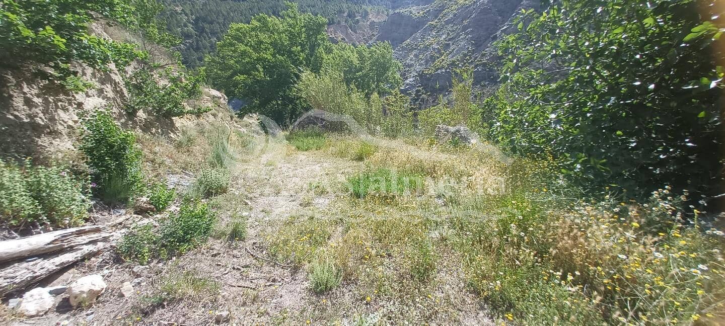 4 camera da letto Finca/Casa di Campagna in vendita in Oria - 74.000 € (Rif: 9866093)