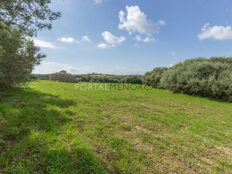 5 soveværelse Finca/Landehus til salg i Ferreries - € 1.700.000 (Ref: 7494166)