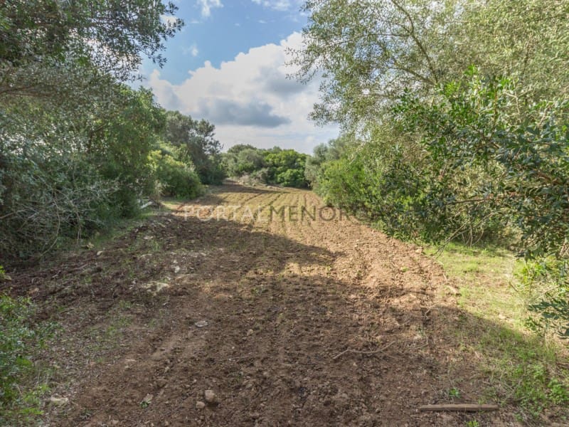 5 soveværelse Finca/Landehus til salg i Ferreries - € 1.700.000 (Ref: 7494166)