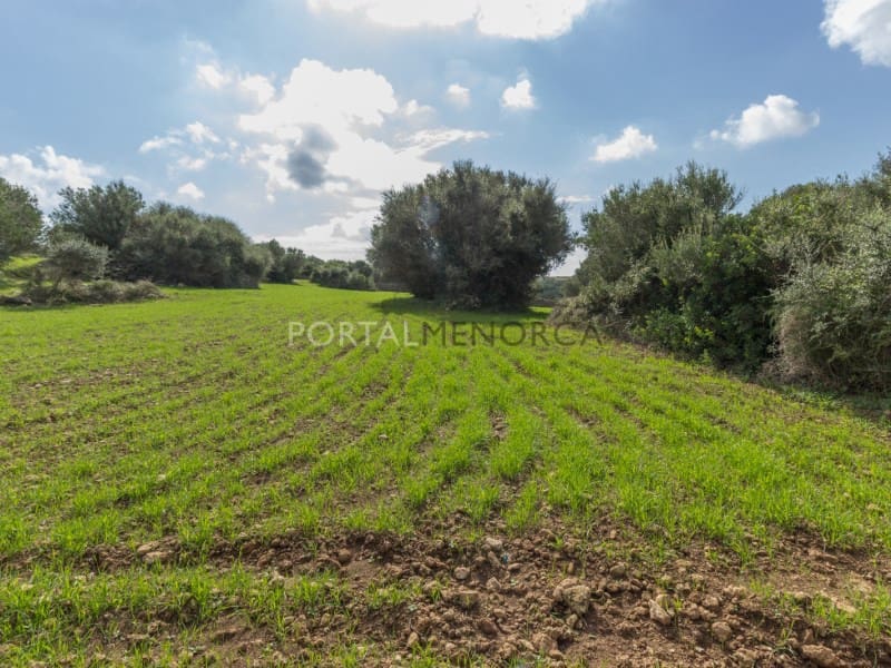 5 soveværelse Finca/Landehus til salg i Ferreries - € 1.700.000 (Ref: 7494166)