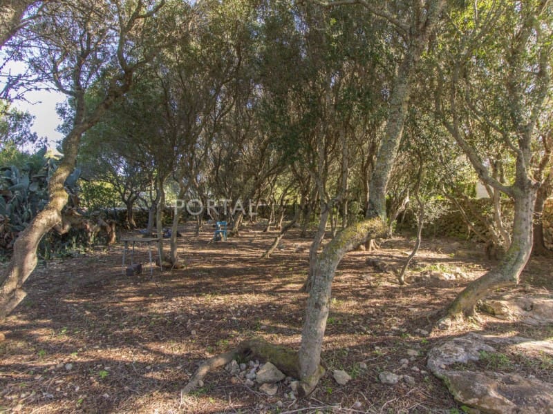 6 slaapkamer Finca/Landhuis te koop in Biniali met garage - € 1.900.000 (Ref: 7938263)