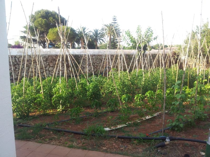 6 soveværelse Finca/Landehus til salg i Mahon / Mao - € 2.500.000 (Ref: 8093886)