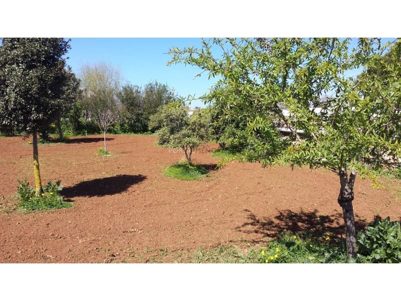 6 soveværelse Finca/Landehus til salg i Mahon / Mao - € 2.500.000 (Ref: 8093886)