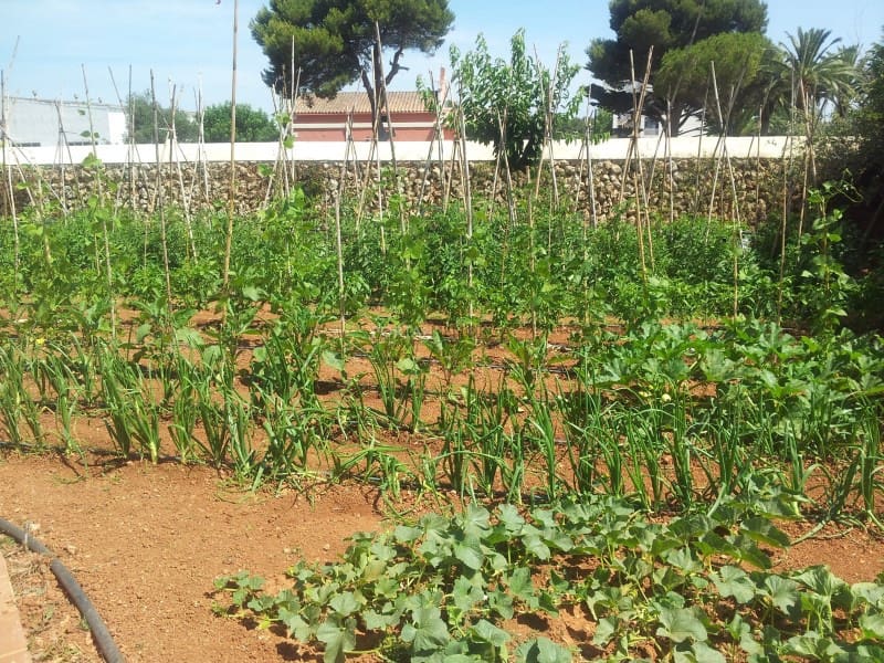 6 soveværelse Finca/Landehus til salg i Mahon / Mao - € 2.500.000 (Ref: 8093886)